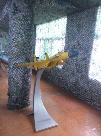 唐山市豐南區航空體驗館-殲15艦載機模型